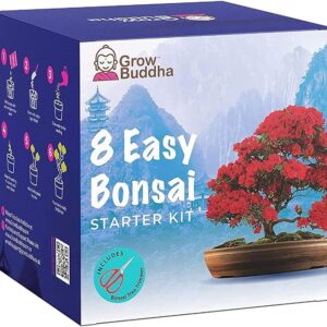 kit cultivo bonsái 8 variedades