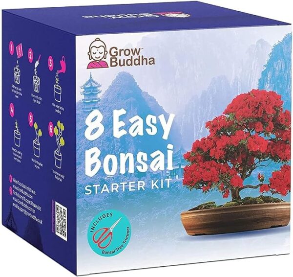 kit cultivo bonsái 8 variedades