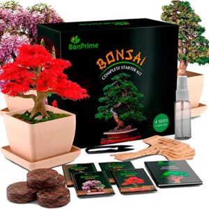 kit cultivo bonsái 4 variedades